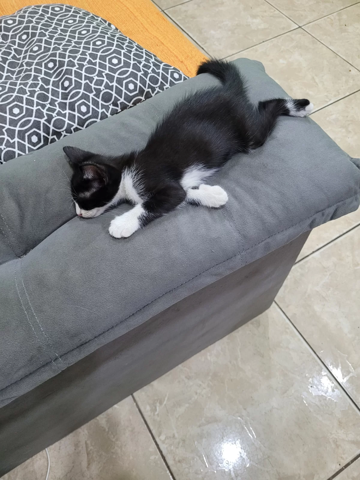 Luna